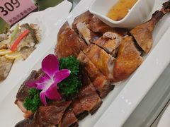 -骏莱海鲜鱼港(五角场店)