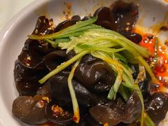爽口木耳-佬肥猫(国华广场店)