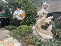 -天目湖涵田半山温泉