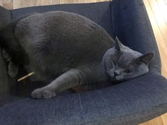 -壹人壹像工作室(购物公园店)