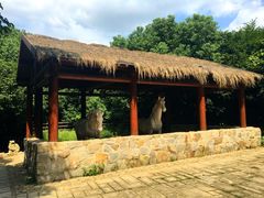 -白马涧龙池景区