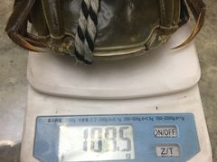 -喜洋洋蟹庄(阳澄湖店)