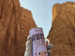 -天山神秘大峡谷