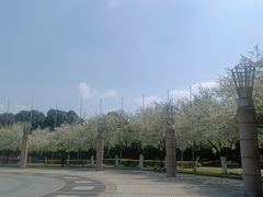 -为民烧烤吧.自贡爆炒菜.成都烧烤(收录20年好店)