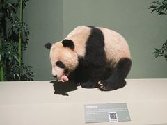 -深圳博物馆历史民俗馆