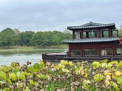 -湘湖大院(越王路店)