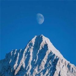 -薇兰专业脱毛连锁机构