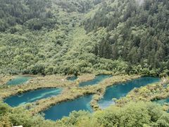 -九寨沟-树正沟
