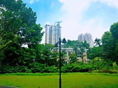 -晓港公园