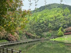 -穹窿山景区