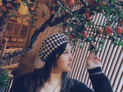 -叶叶菩提·晋福宫