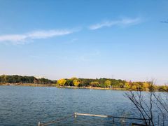 -昆山城市生态森林公园