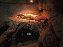 -济南野生动物世界