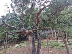 -草庵摩尼教遗址公园