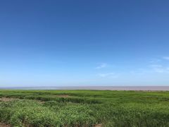 -南汇嘴观海公园