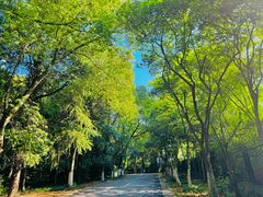 -南山风景名胜区