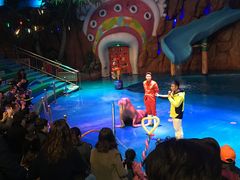 -烟台海昌鲸鲨海洋公园