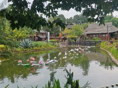 -云南民族村