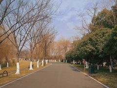 -东湖落雁景区