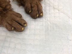 -美联众合24小时·皮肤科·外科·全科诊疗中心(华苑分院)