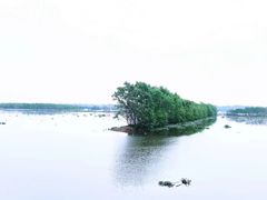 -沙美村