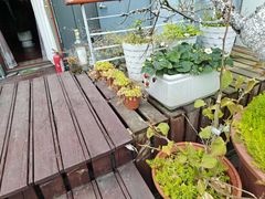 -哈瓦那雪茄酒廊超市(武汉天地分店)