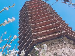 -玲珑塔公园