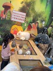 -神奇动物撸宠馆·羊驼·小浣熊·异宠(豫园店)