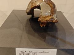 -北京周口店北京人遗址博物馆