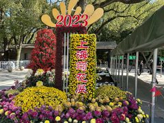 -上海共青森林公园