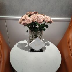 -YESIDO椰岛美容