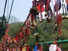 -西双版纳原始森林公园