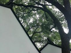 -上海醉白池公园