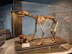 -周口店北京人遗址公园