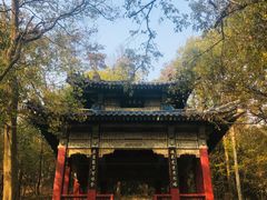 -紫霞湖公园