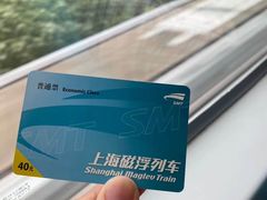 -龙阳路磁悬浮列车总站-停车场