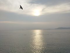 -长岛南北长山旅游景区