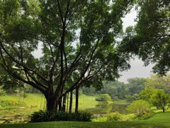 -云溪植物园