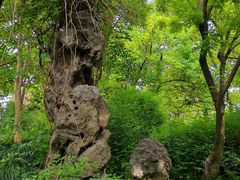 -上海方塔园