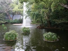 -九龙公园