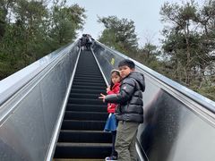 -千岛湖天屿景区
