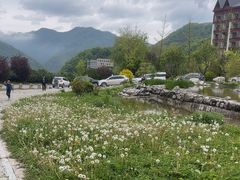 -青峰峡国家森林公园