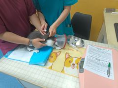 -美联众合动物医院(·中兽医·疑难杂症·严家桥分院)