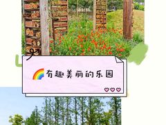 -前小桔亲子创意农场·草莓采摘·露营烧烤