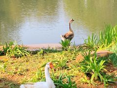 -昆明植物园