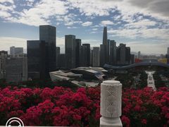 -莲花山公园