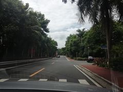 -七仙岭温泉国家森林公园