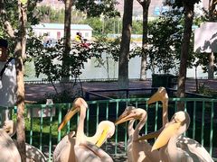 -水上乐园·欢乐世界