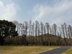 -上海月湖雕塑公园