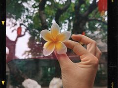 -碧江金楼